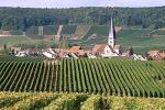 Champagne discovery tour : 251€